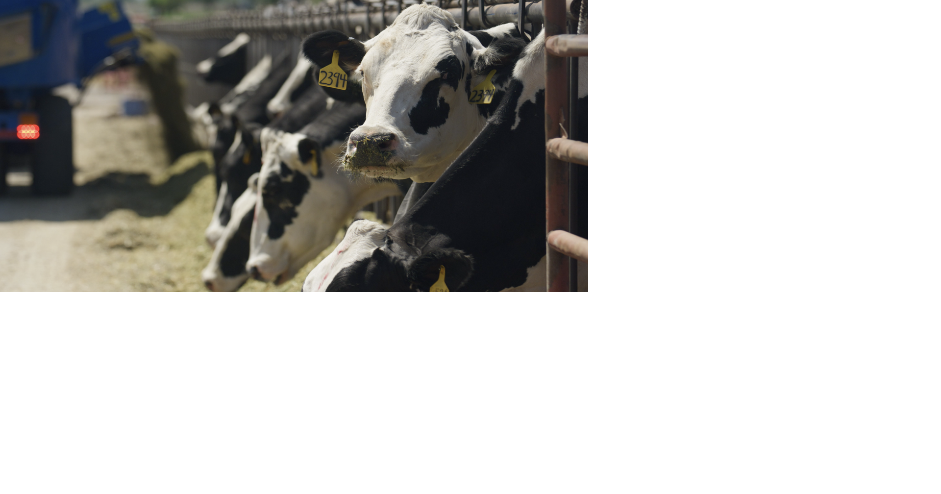 State ag department slashes loan interest rates to 0% for Utah farmers facing a tough year