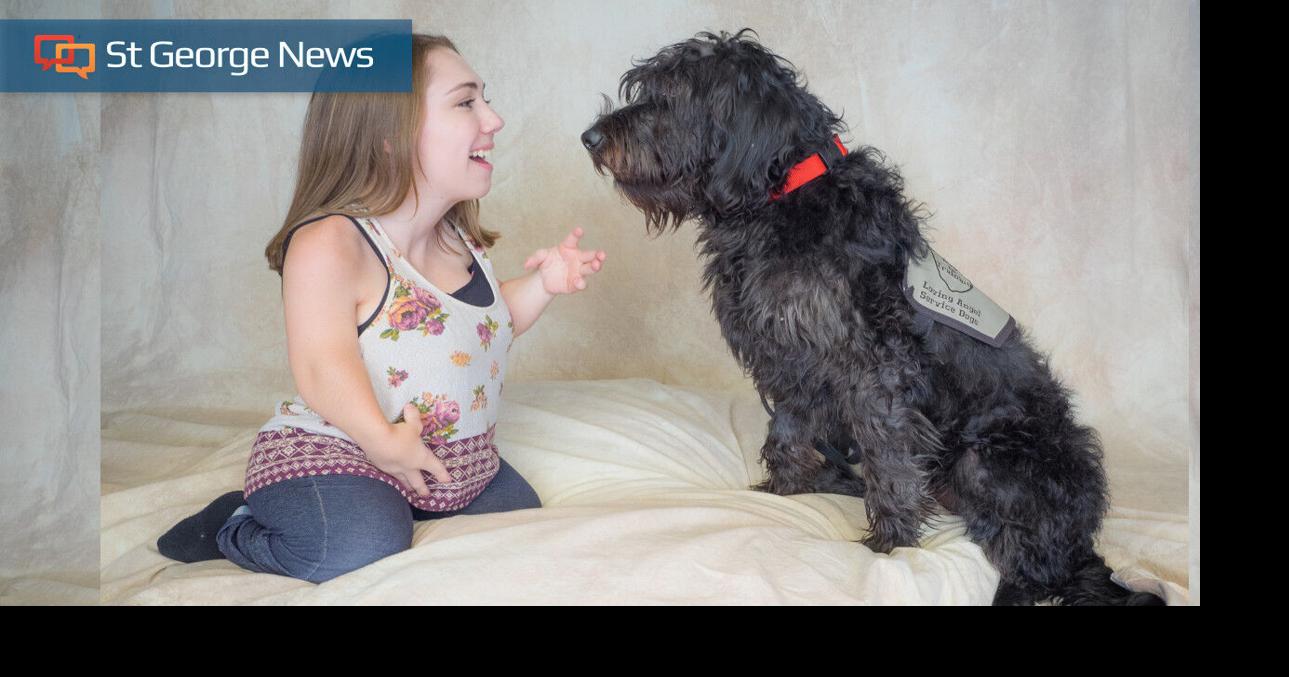 Partnerships of love: How a St. George service dog charity is changing ...