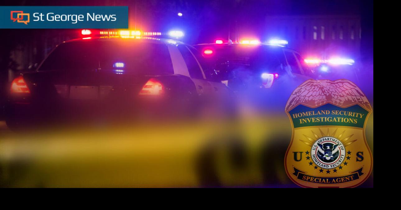 2 arrested in St. as part of traveling theft group out of South