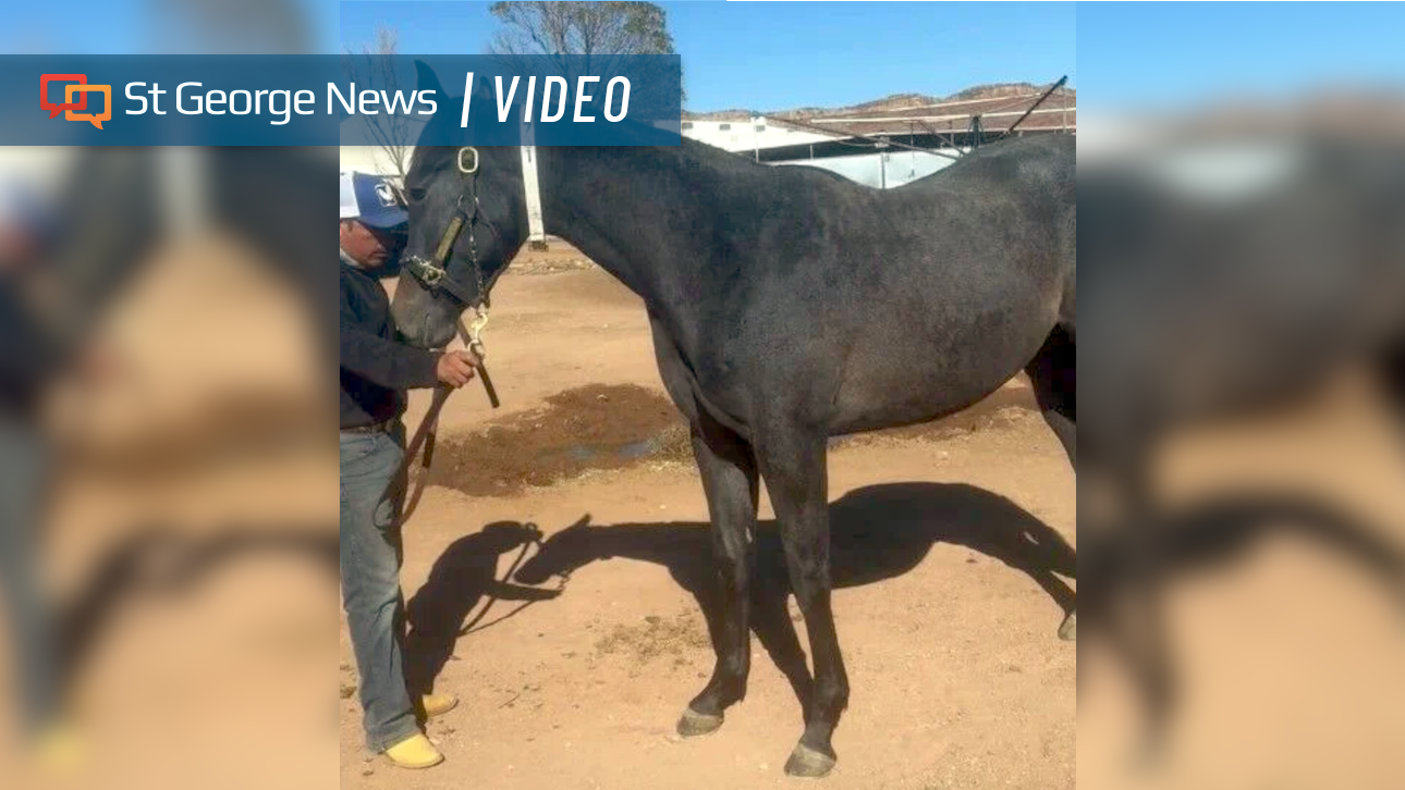 Hurricane horse whisperer pins hopes on Kentucky Derby longshot Pavlovian