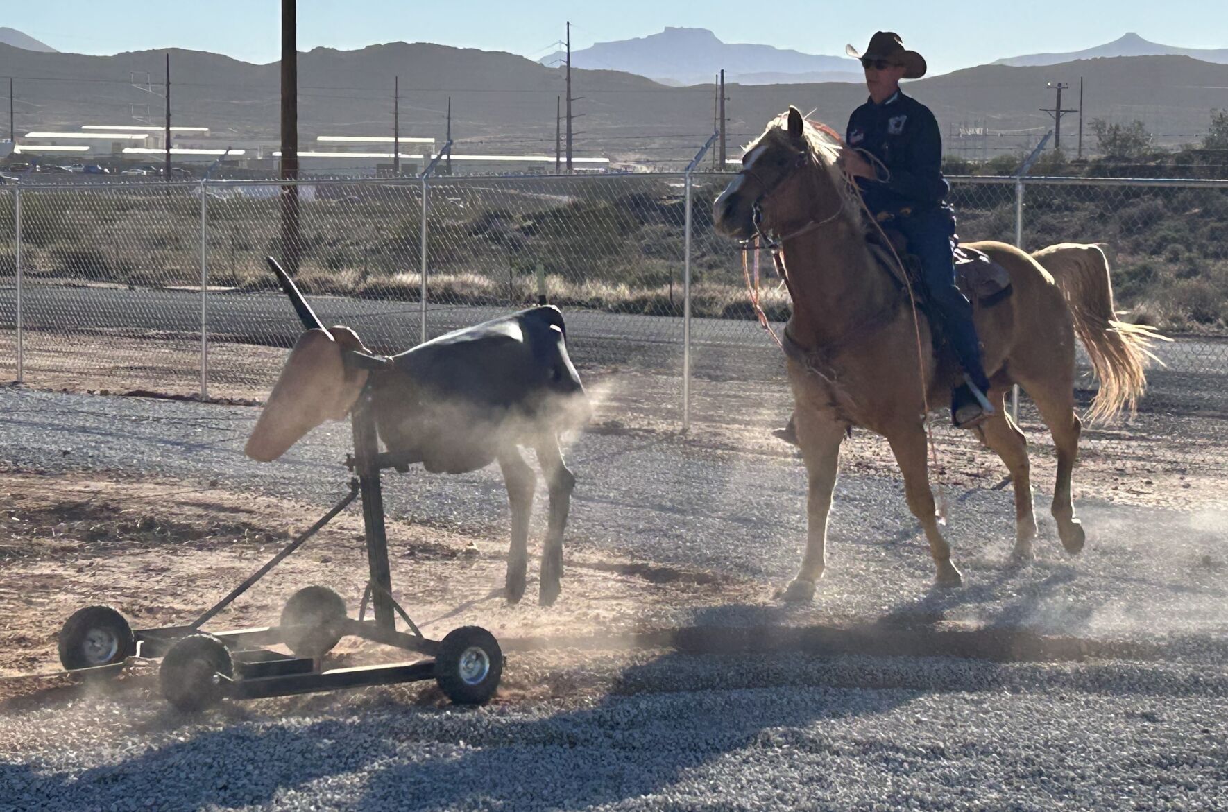 Used Roping Machines Arizona Strip rancher turns limited time into invention with mechanical ...