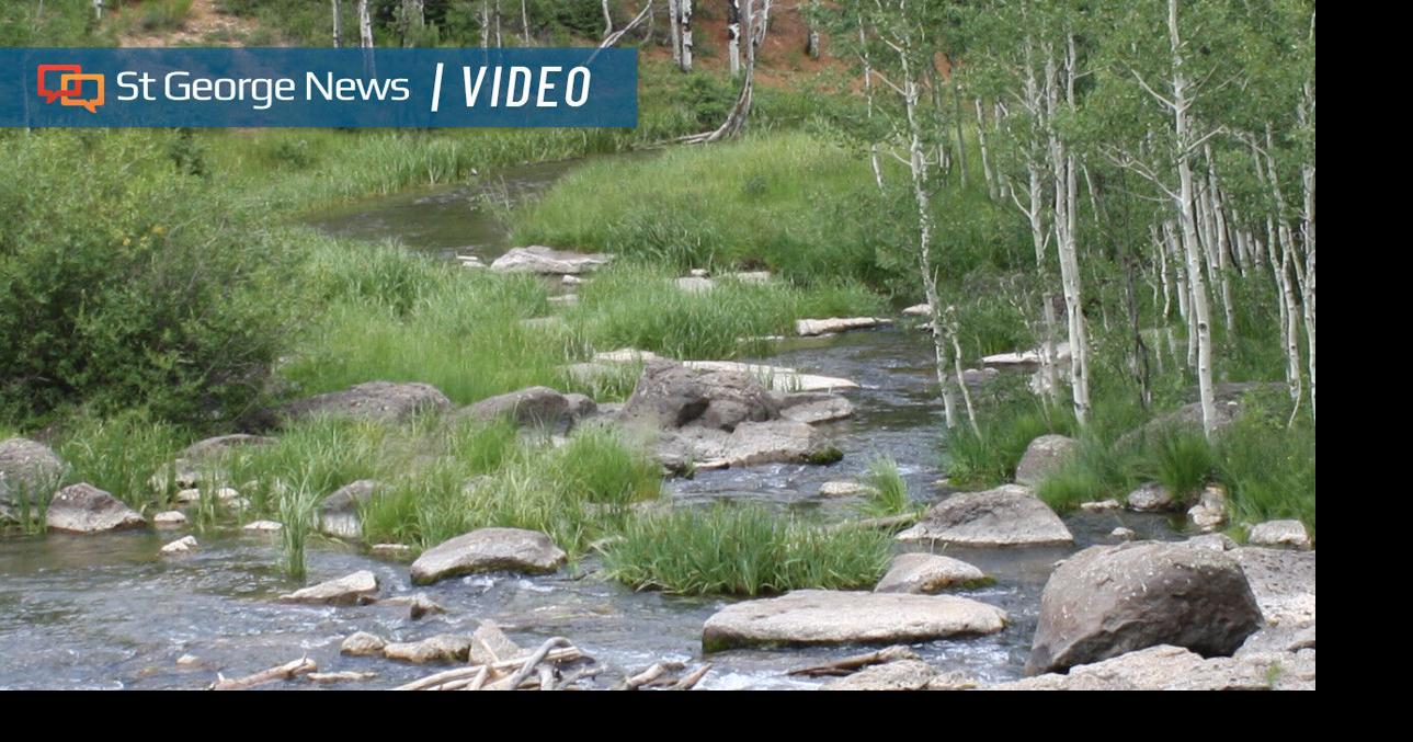 Southern Utah fishing: Restrictions back for Minersville, tiger muskie released in Navajo Lake | Health and Wellness | stgeorgeutah.com