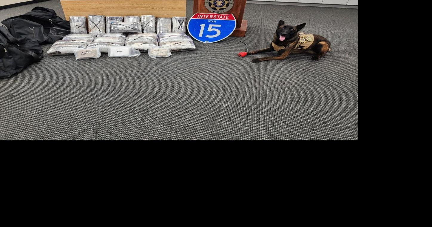 Read moreSouthern Utah law enforcement community looks back on K9 Cyrus's 'dedication, unmatched work ethic'