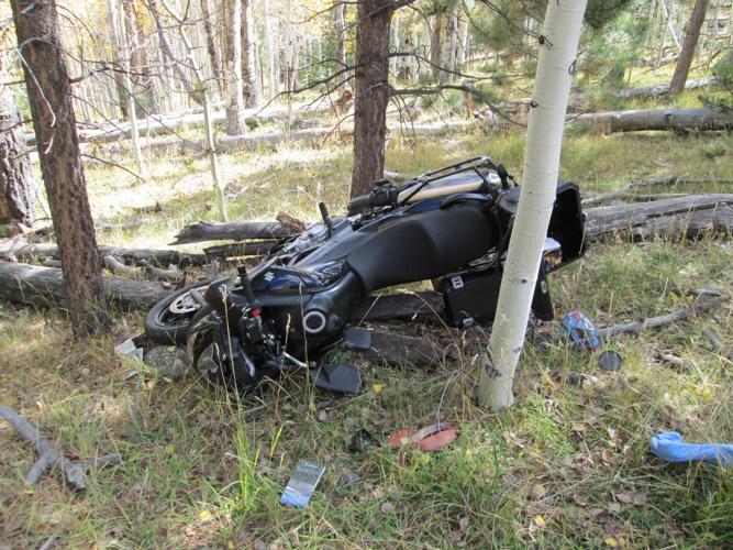 Motorcyclist dies after crashing into felled tree | News | stgeorgeutah.com