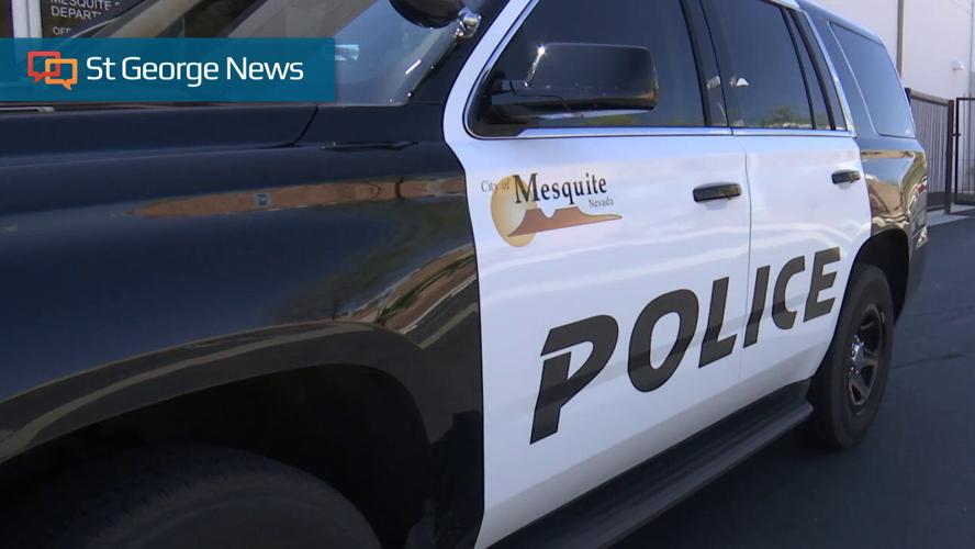 Mesquite Police arrest 2 for alleged burglary of department store