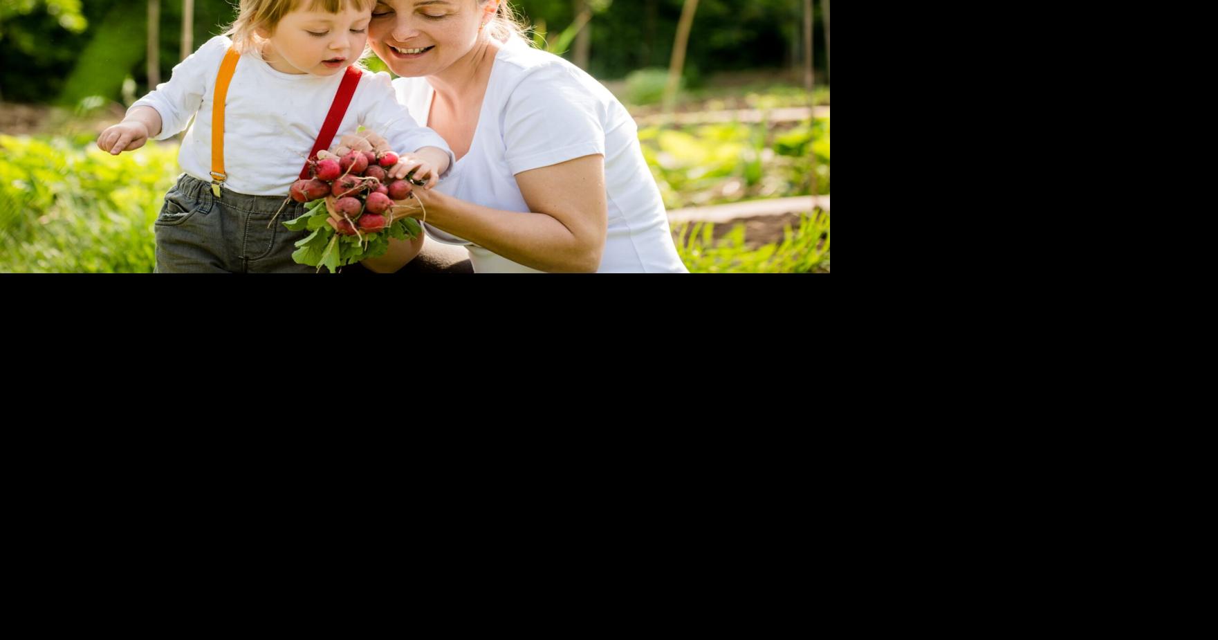 Radishes: Easy spring crop with surprising kitchen uses | Home and ...