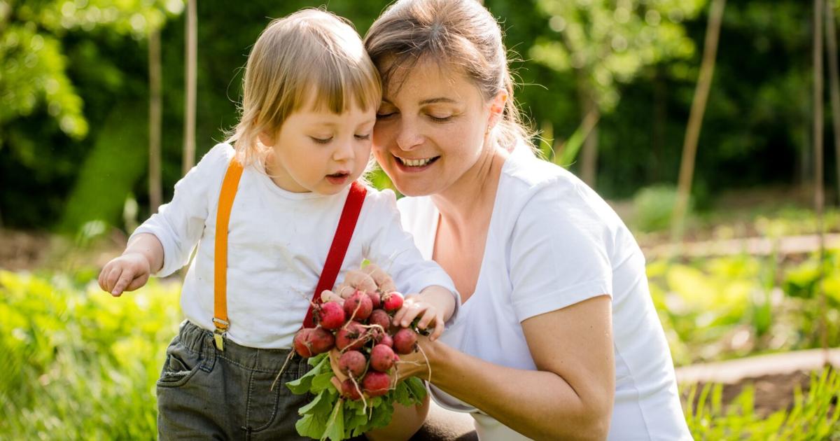Radishes: Easy spring crop with surprising kitchen uses | Home and ...