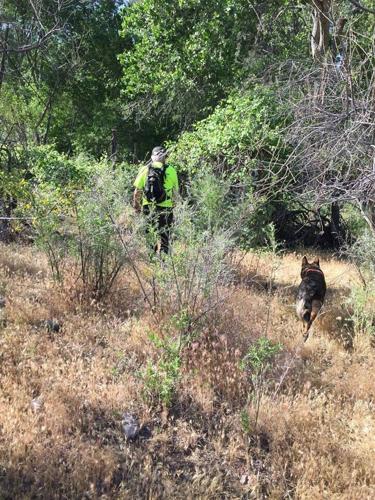 Missing man’s remains found in remote area of Washington County | Local ...