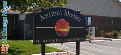Praises for much improved St. George Animal Shelter, grand reopening