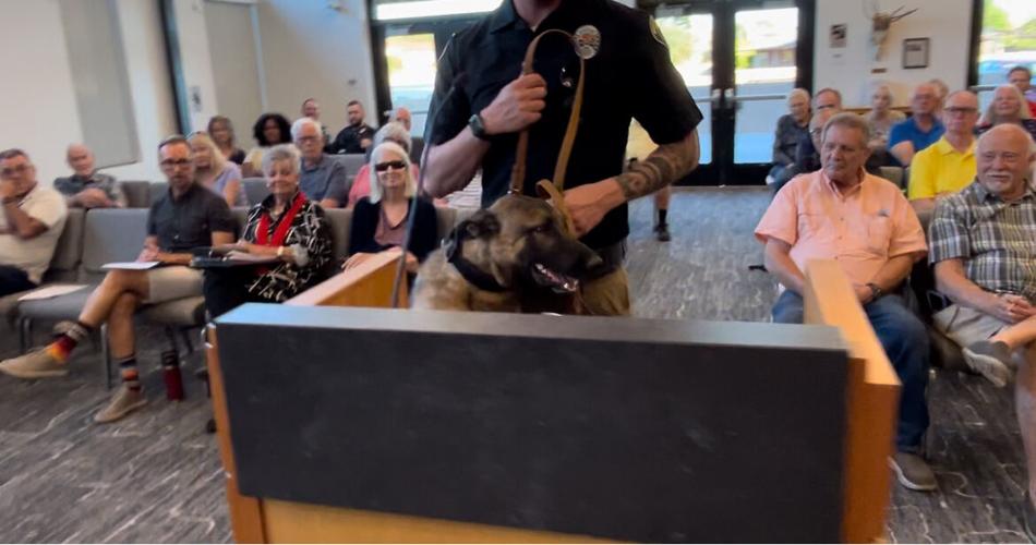 Meet Rosko: Ivins City Council welcomes replacement K9 recruit | News ...