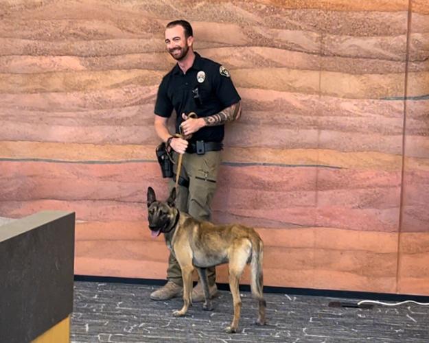 Meet Rosko: Ivins City Council welcomes replacement K9 recruit | News ...