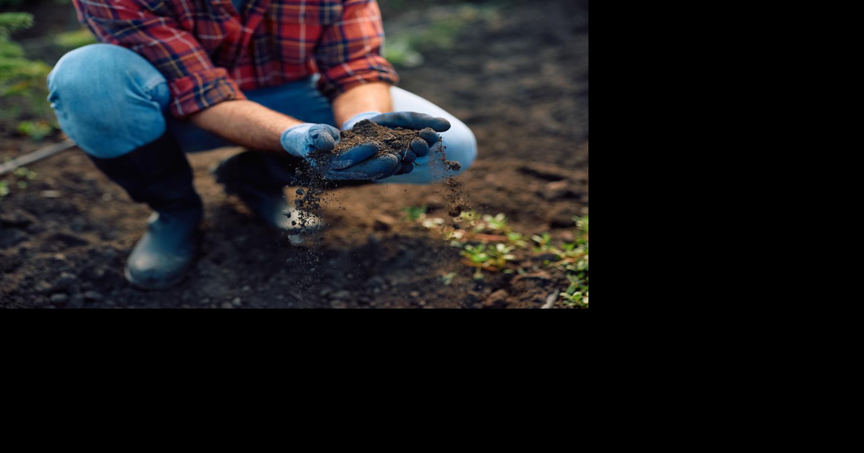 Healthy soil starts now: Autumn tricks for stronger, pest-resistant plants - St. George News