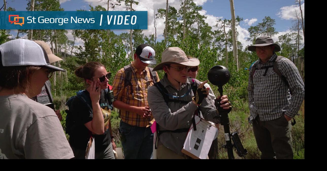 Friends of Pando documentary chronicles journey to capture world’s ...