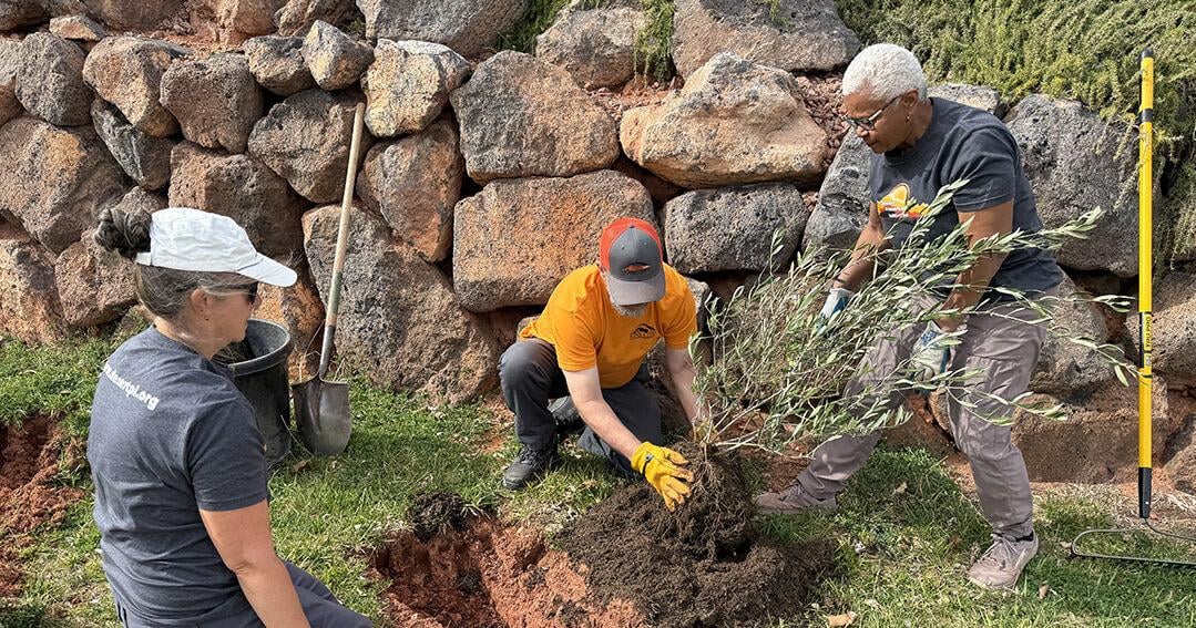 Read moreIvins community gathers to bring beauty and shade to Unity Park