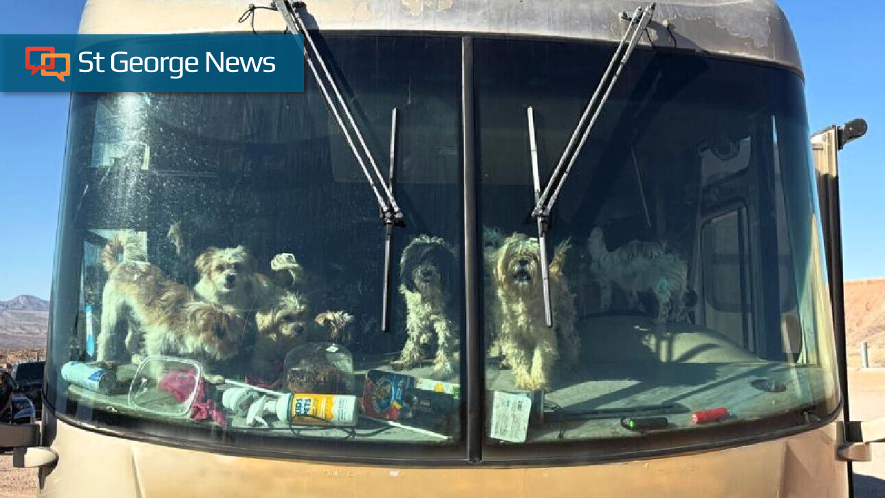 Read moreFlood of support provides new life for more than 100 dogs rescued from RV near Mesquite