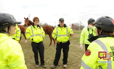 Health department to host conference on animal issues in emergency ...