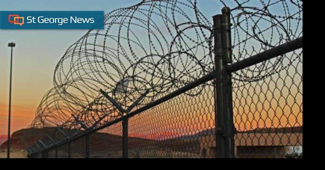 Protesters seek release of non-violent offenders from jails, including ...