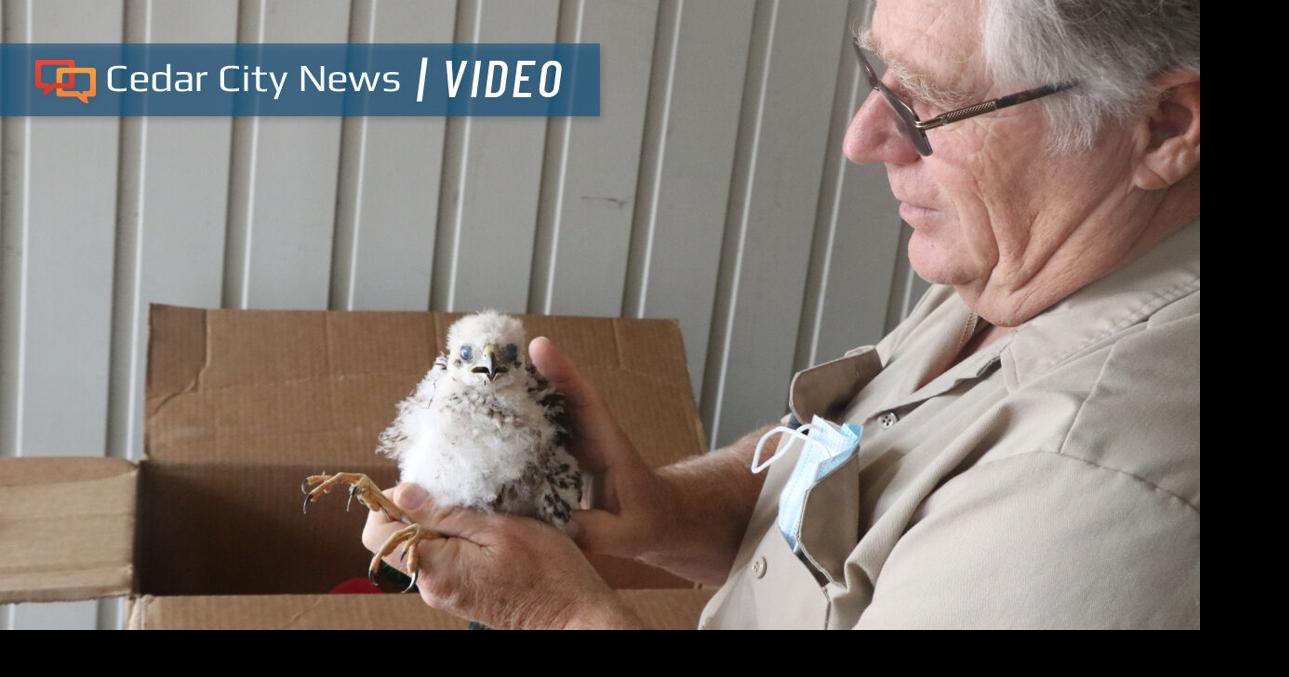 Southwest Wildlife Foundation relocating to Enoch with plans for raptor rescue center | Local News | stgeorgeutah.com