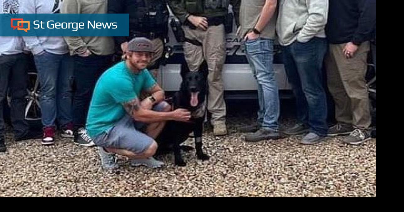 UPDATED: Injured K-9 officer Riko makes it home from hospital | Local ...
