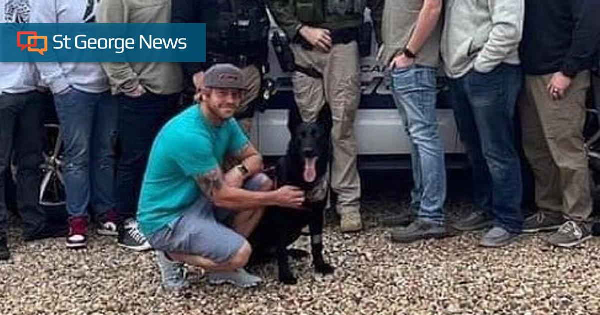 George Riko's UPDATED: Injured K-9 officer Riko makes it home from hospital | Local ...