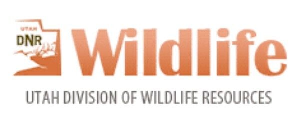 Long-serving DWR director announces retirement | Explore | stgeorgeutah.com