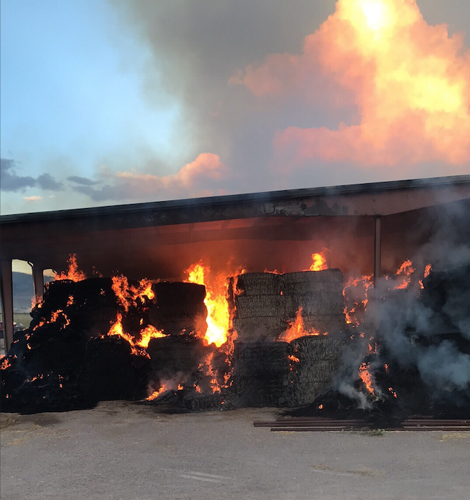 Spontaneously combusting hay causes barn fire at Newcastle dairy farm ...