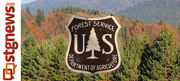 US Forest service: Fewer trees dying nationwide | Explore ...