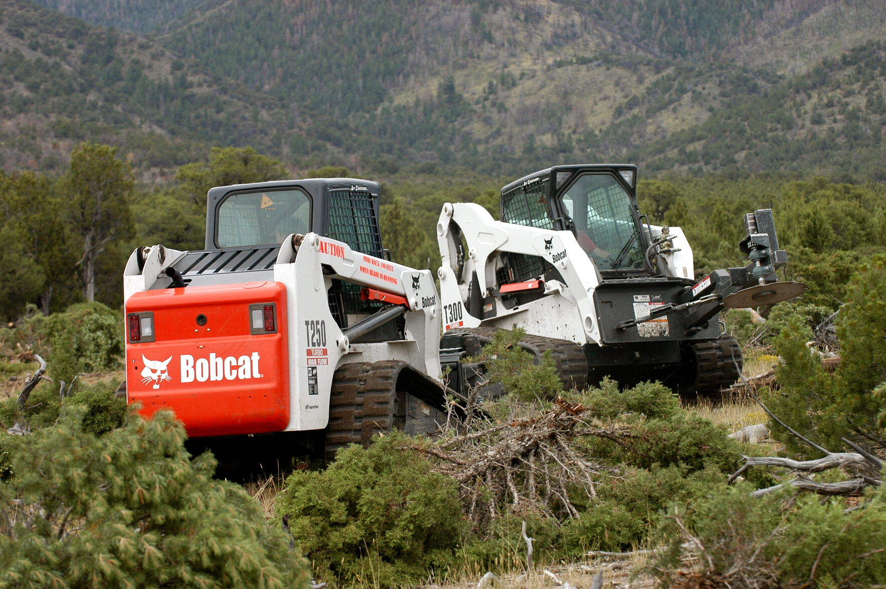 Utah Restores Over 168,000 Acres Of Habitat Through Watershed ...