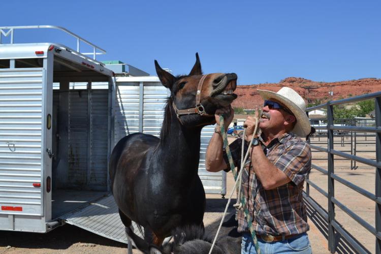 Dixie Roundup Rodeo returns with new attractions, honors the rich ...