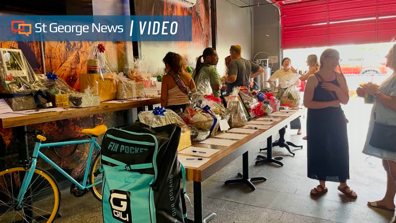 Music, fairy gardens and a mission: St. George bar fundraiser tackles school lunch debt