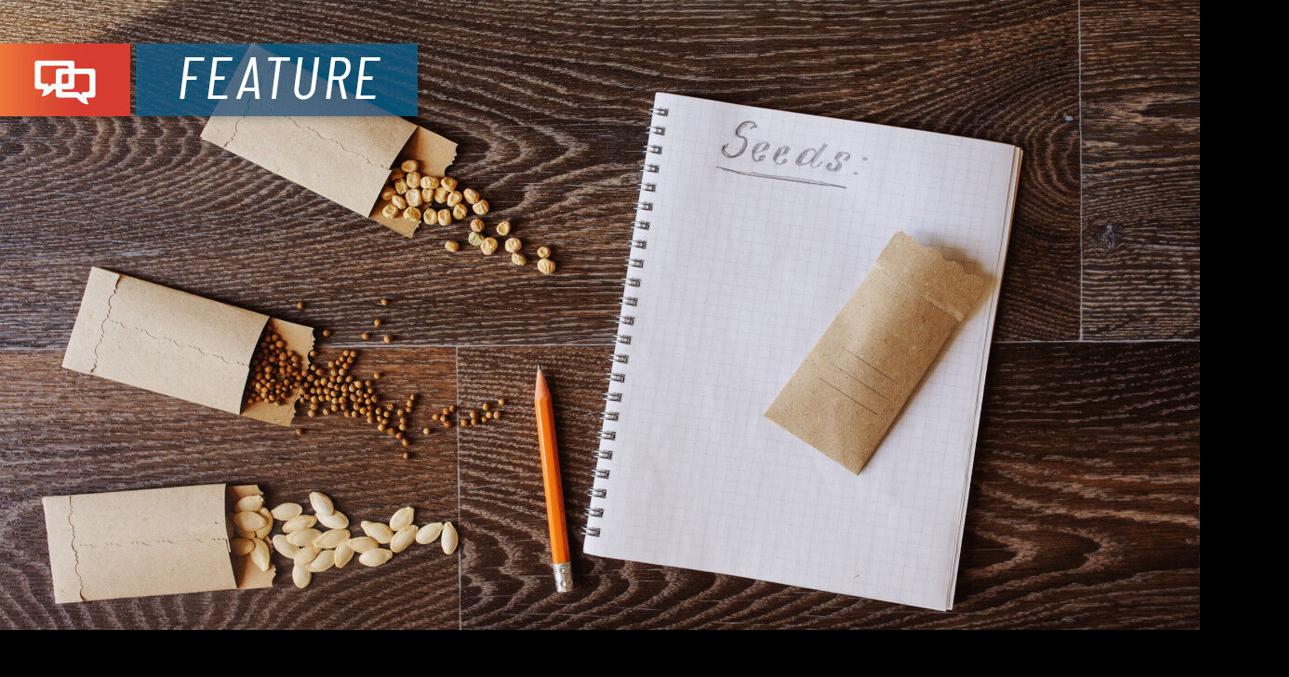 Are your leftover seeds from past years still usable? | Home and Garden ...