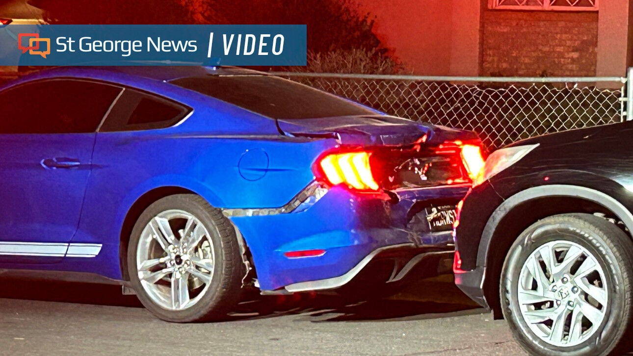 Police say wayward feline causes 3-car fender bender in St. George