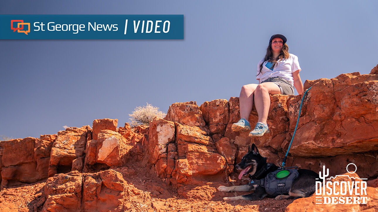 Discover the Desert: Explore red rock wonders, killer views just steps ...