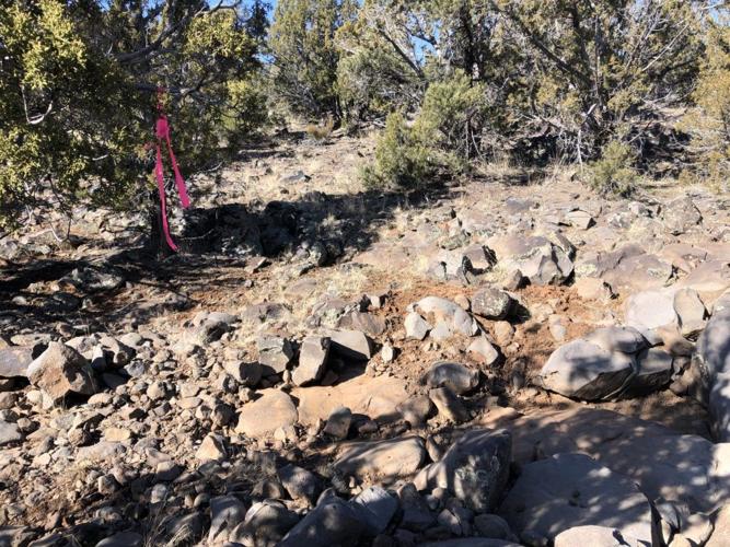 Proposed mountain biking trail networks could ‘change outdoor