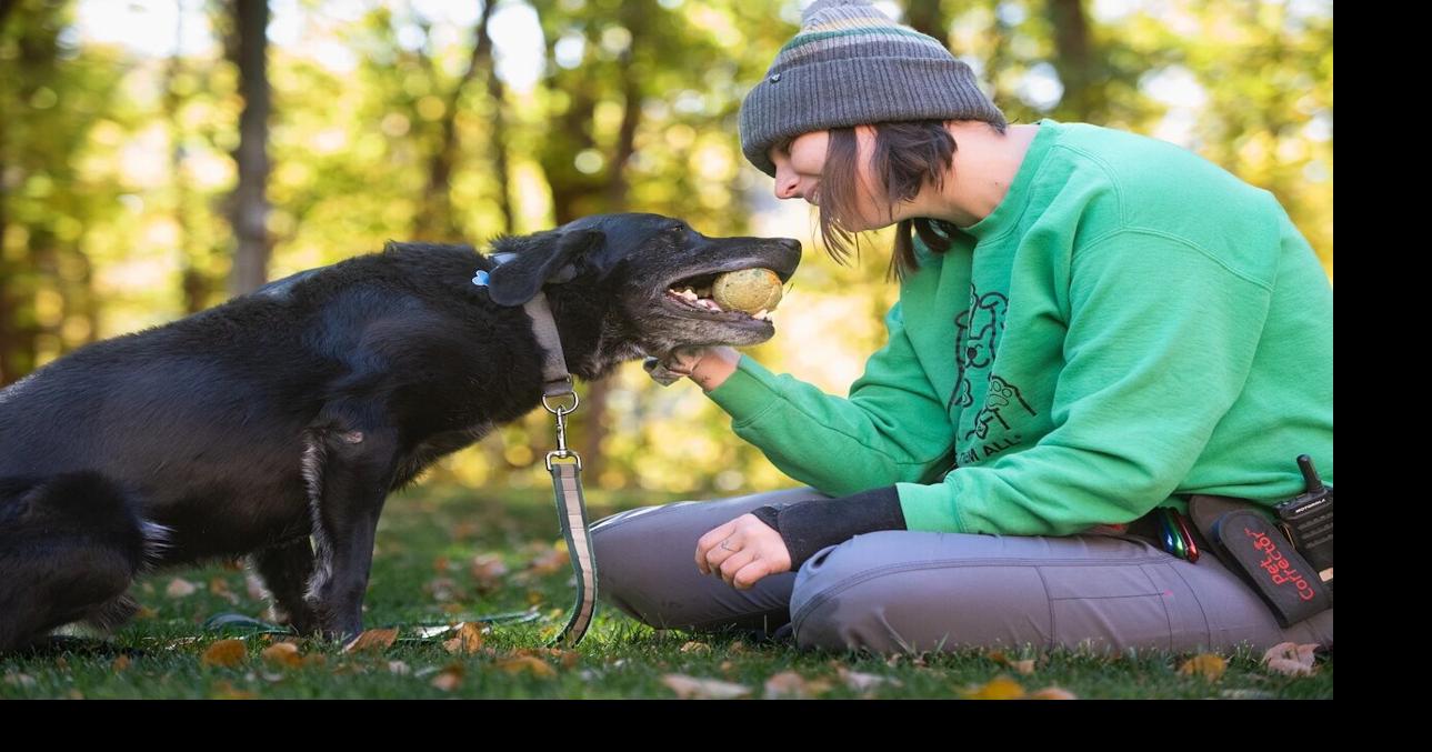 Avoid a fall season fumble: Keep your pets safe with playbook from Best Friends in Kanab