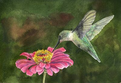 Canvas Creations - Hummingbird