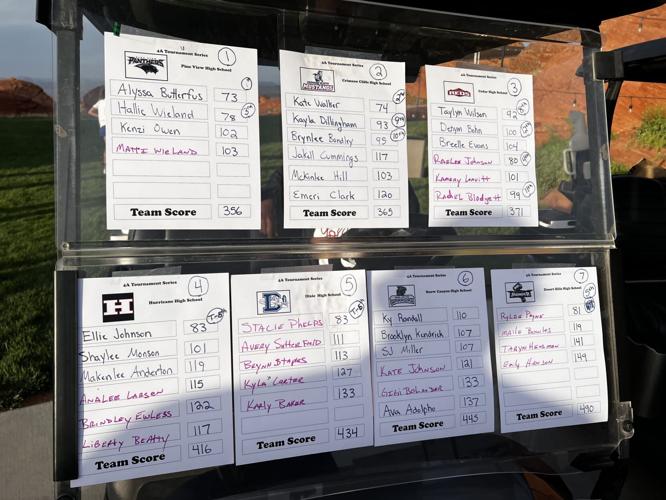 Region 10 girls golf: Pine View captures 3rd straight region title ...