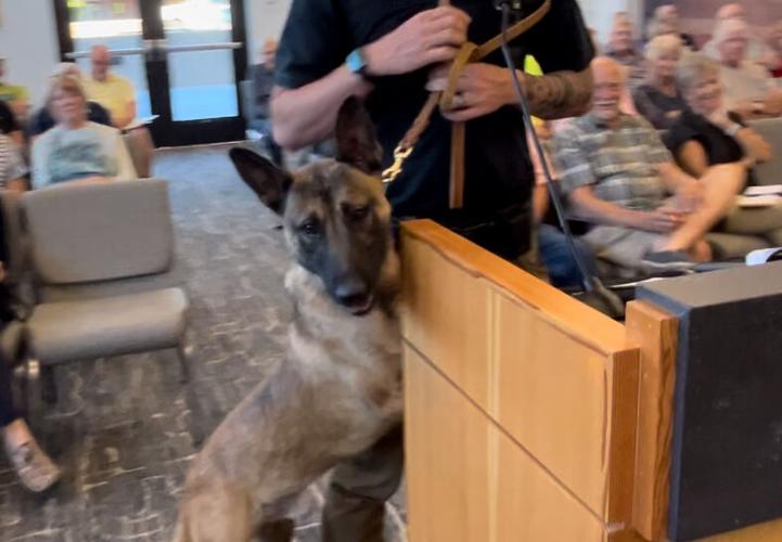 Meet Rosko: Ivins City Council welcomes replacement K9 recruit | News ...