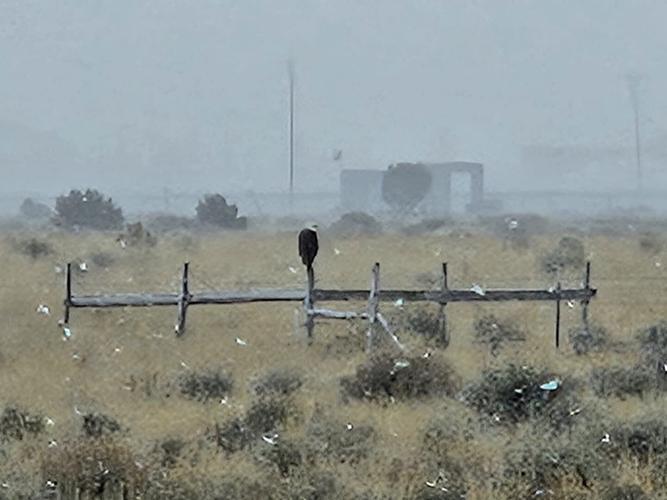 Photo gallery: Weekend storm blankets Southern Utah with snow, cold ...