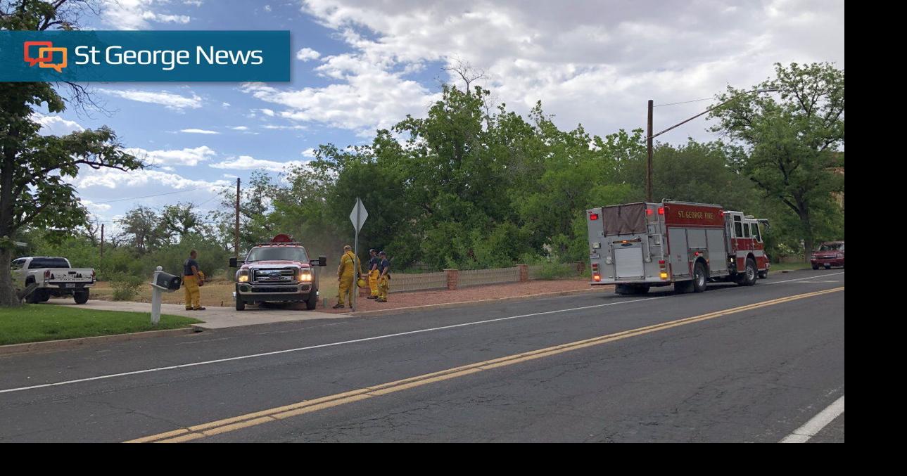Lighting strike possible cause of downtown St. George tree fire | Flood ...