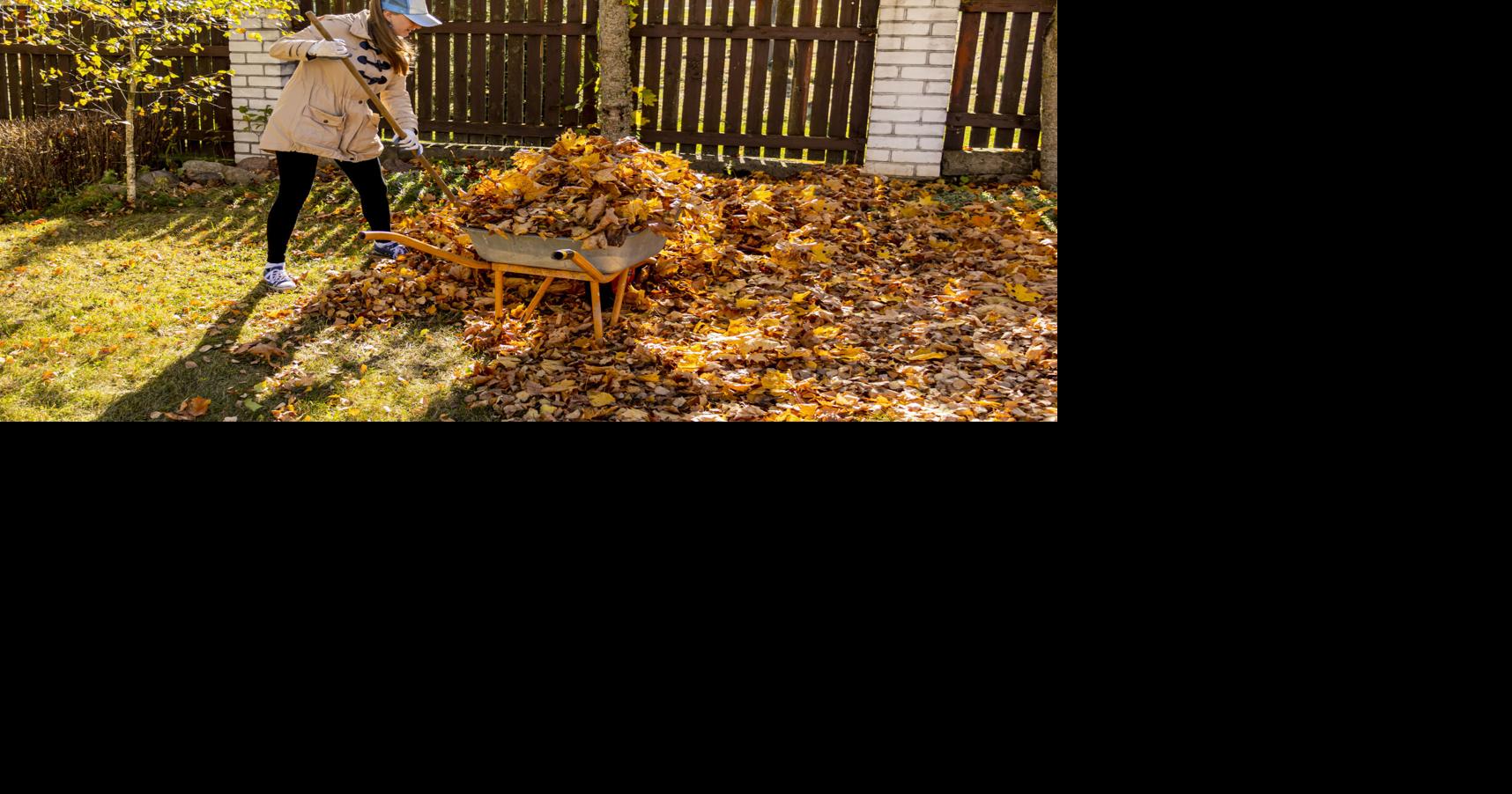 Ready for cooler temps? Don't forget these end-of-season tasks for your ...
