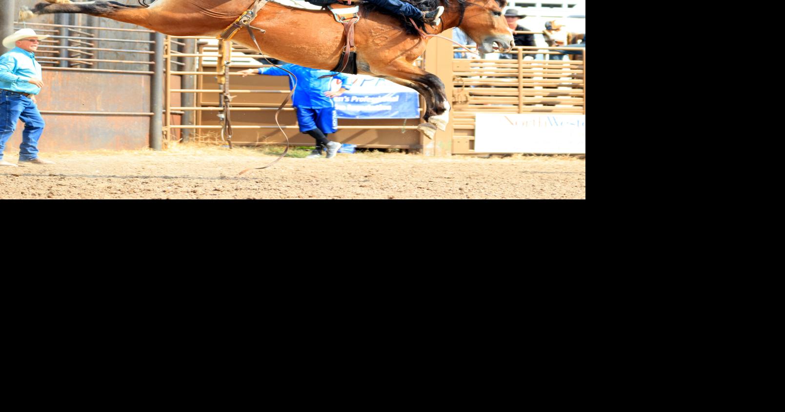 Stillwater County’s Weston Timberman is burning up the rodeo road ...