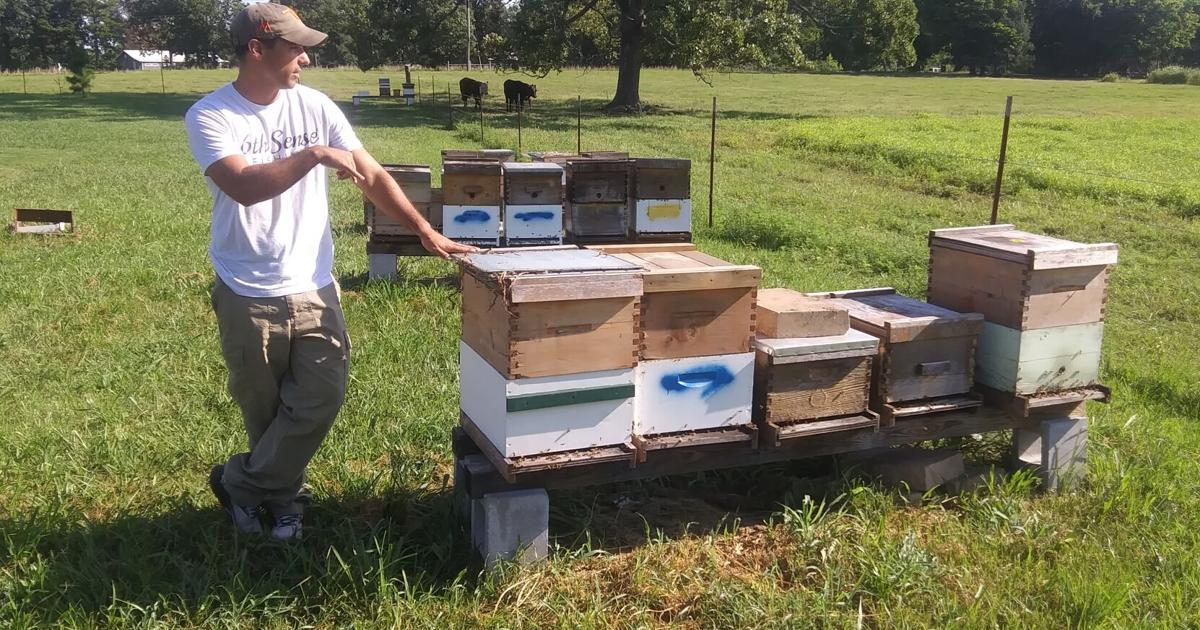 Forestry ranger shares life and love of bees | Community ...