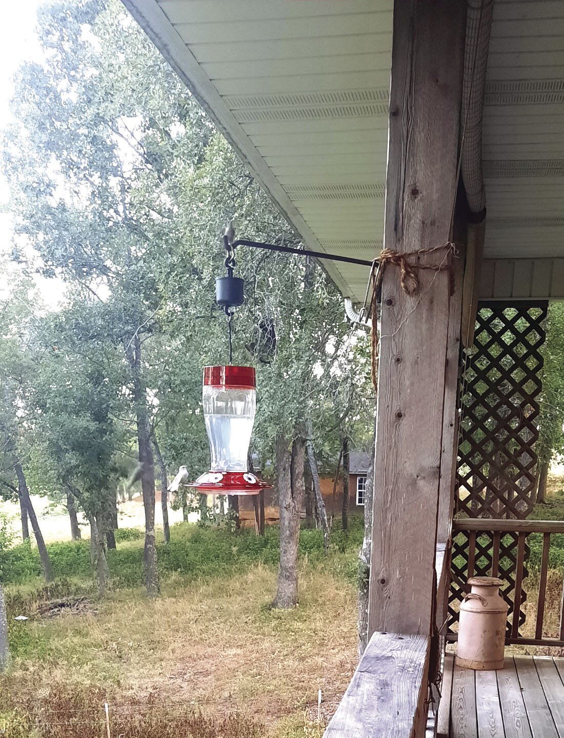 chicken feeder light