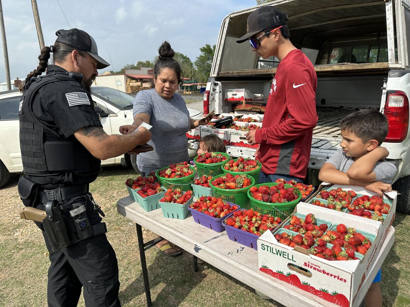 STRAWBERRY FIELDS Stilwell berries for sale from growers, in town