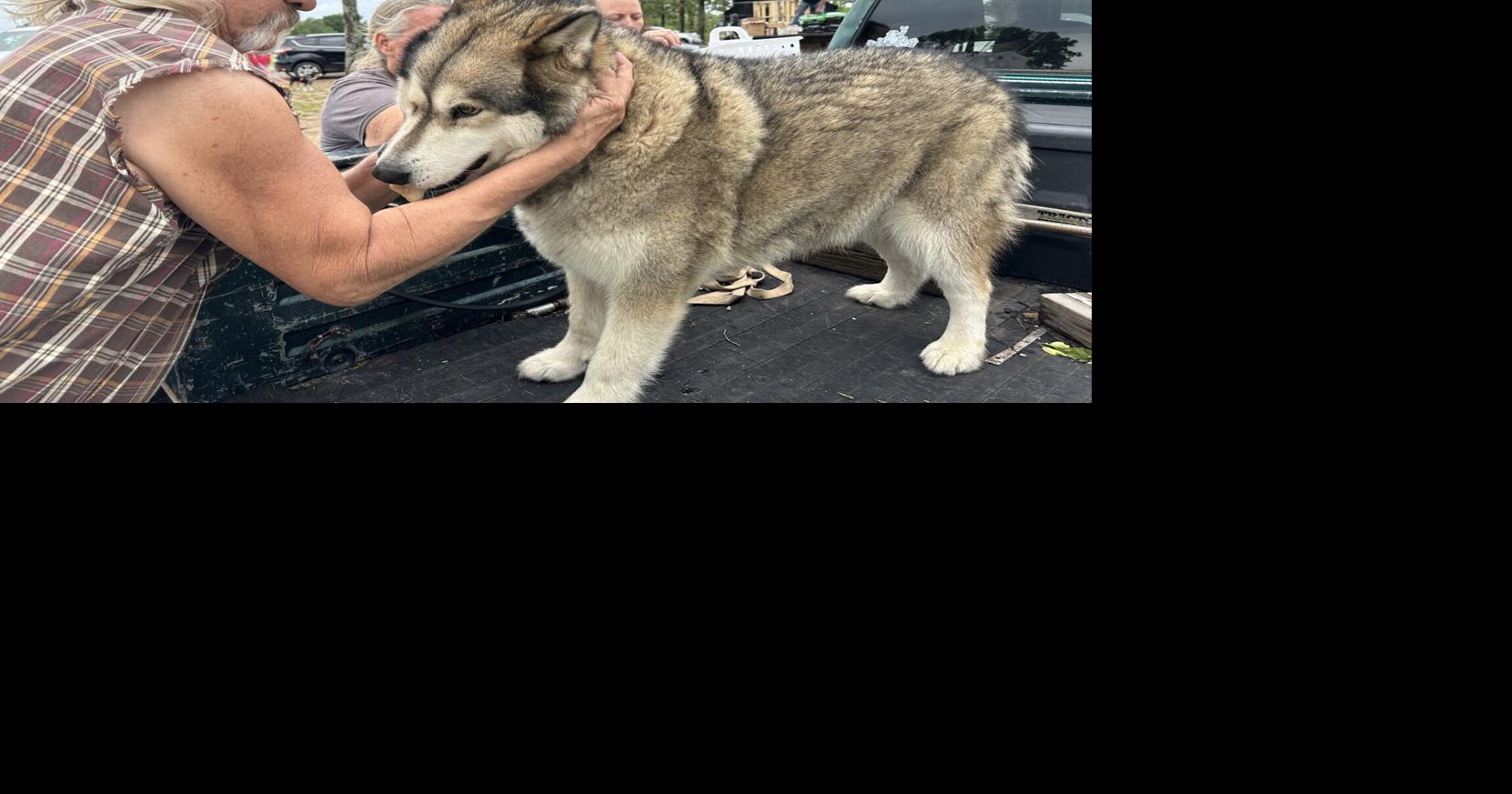 A year in review: 2025 was great year for Stilwell, officials say