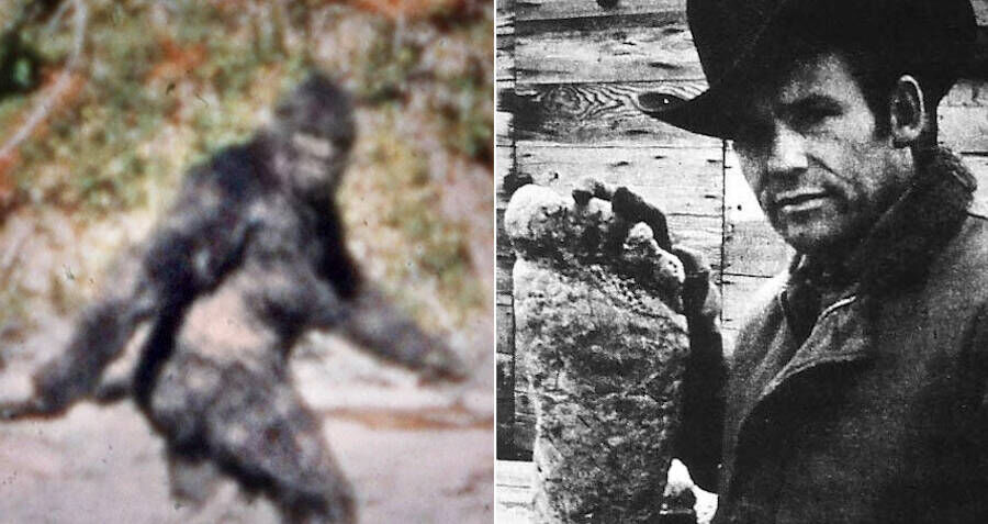 Bigfoot patterson video 2025 hoax