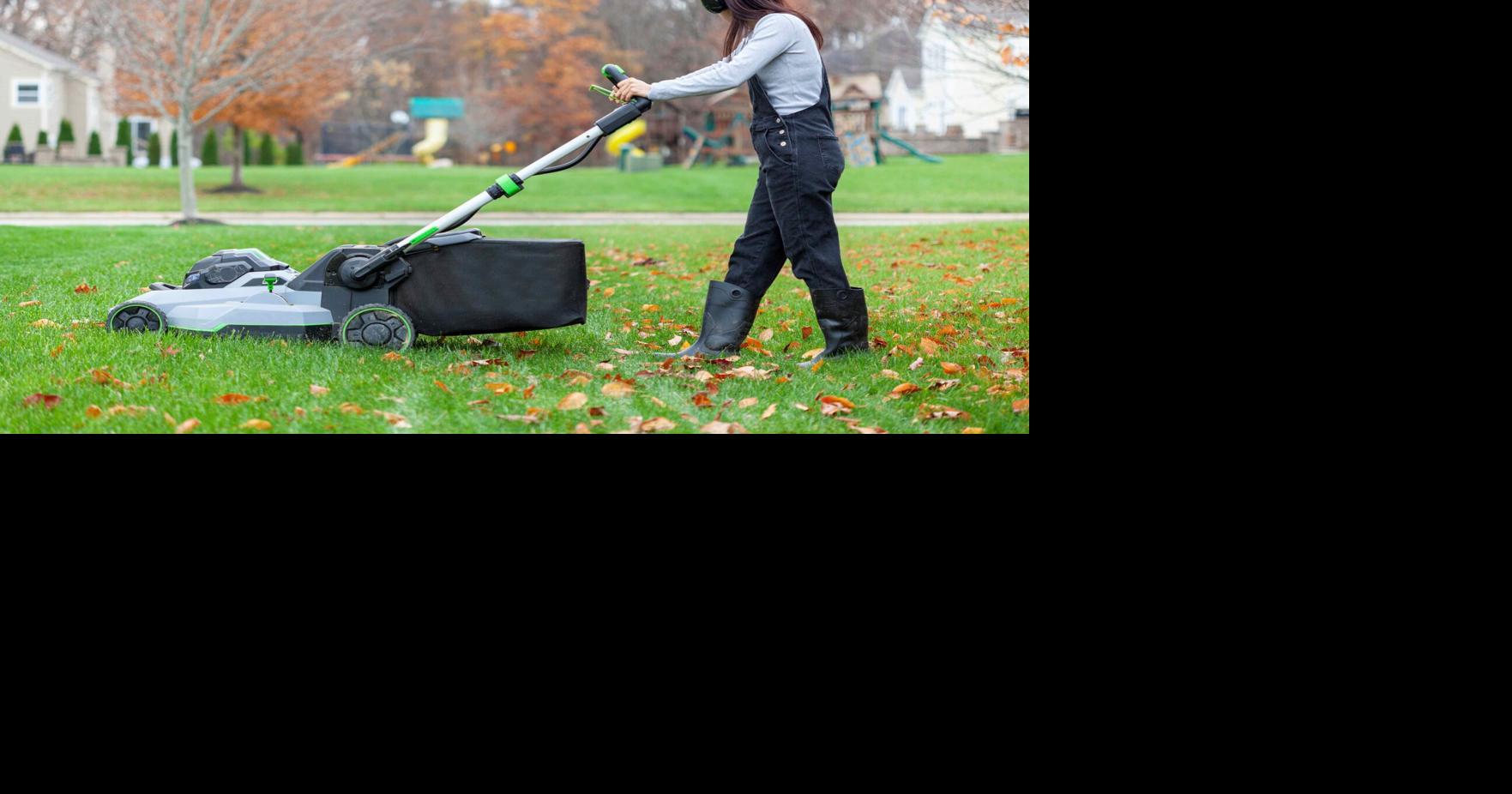 Backyarding on a budget, 6 money-saving hacks for fall | News ...