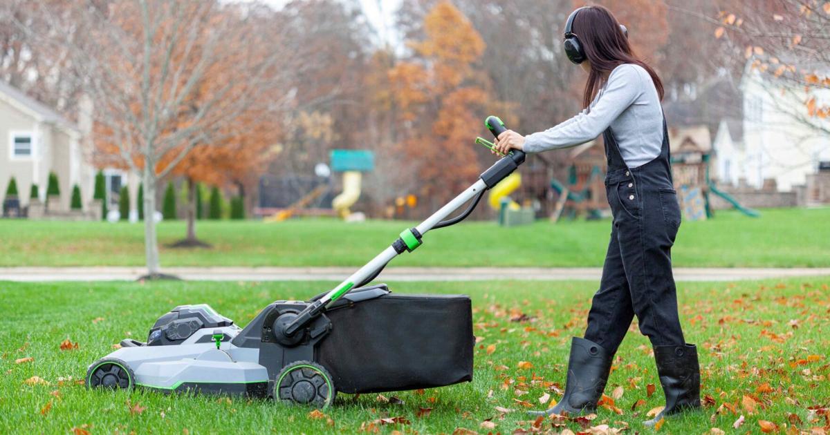 Backyarding Backyarding on a budget, 6 money-saving hacks for fall | News ...