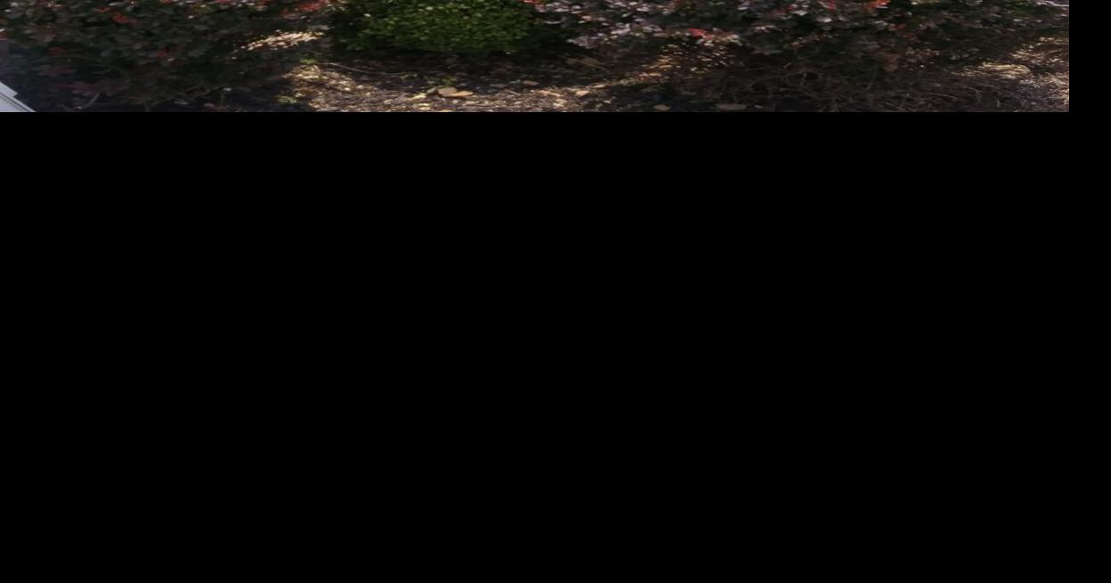 New City of Stilwell signs installed around town Community